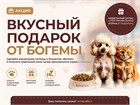 Вкусная вакцинация от Зооцентра «Богема»!🐾