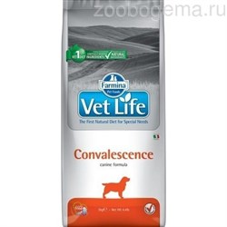 Vet Life Dog Convalescence диетический сухой корм для собак в восстановительный и послеоперационный период 2 кг - фото 7101