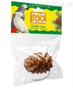 RIO Шишка кедровая - фото 7324