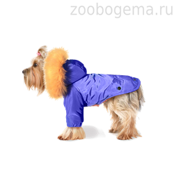 ZOOTREND Парка Василек - фото 8411
