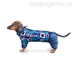ZOOTREND Дождевик Такса Буквы - фото 8435