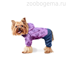 ZOOTREND Дождевик Тедди - фото 8444