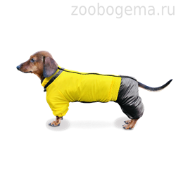 ZOOTREND Дождевик для таксы Желтый - фото 8448
