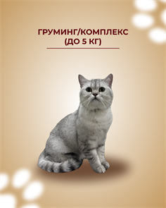 Груминг Кошка / Комплекс выставочный (до 5 кг) 462857