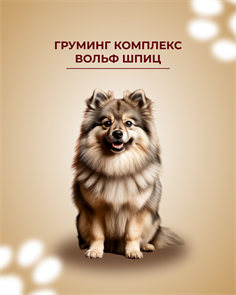Груминг Вольф Шпиц (кеесхонд) / Комплекс 464306