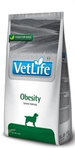 {{productViewItem.photos[photoViewList.activeNavIndex].Alt || productViewItem.photos[photoViewList.activeNavIndex].Description || 'Вет Лайф Dog Obesity для взрослых собак при ожирении, 2кг'}}