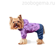 Дождевик "Тедди" р-р XL