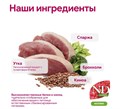 Н&Д Полнорационный сухой корм для взрослых стерилизованных/кастрированных собак мини пород с уткой N&D Quinoa NEUTERED ADULT MINI, 2.5 кг MZB038630 - фото 13135