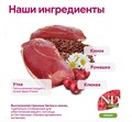 Н&Д Сухой корм для взрослых кошек с уткой, киноа, клюквой и ромашкой для поддержания мочеполовой системы N&D CAT QUINOA URINARY DUCK, 300 гр MZB035776 - фото 13166