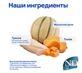 Н&Д Треска, тыква и апельсин для взрослых собак мини пород N&D DOG OCEAN PUMPKIN, CODFISH AND ORANGE ADULT MINI, 800 гр MZB036513 - фото 13252