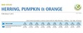 Н&Д Сельдь, тыква и апельсин для взрослых кошек N&D CAT OCEAN PUMPKIN HERRING&ORANGE 1.5 кг MZB036742 - фото 13267