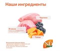 Н&Д Ягненок с черникой и тыквой для взрослых собак мини пород N&D Pumpkin Lamb & blueberry Adult Mini, 800  гр MZB033208 - фото 13308