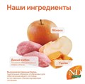 Н&Д Полнорационный беззерновой сухой корм для взрослых собак средних и крупных пород с тыквой, кабаном и яблоком N&D Pumpkin WILD BOAR AND APPLE ADULT MEDIUM & MAXI, 12 кг MZB033376 - фото 13316