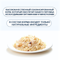 Wanpy Cat Консервы для кошек "Курица с гребешком", 95 гр MZB853015 - фото 13997