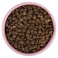 Сухой корм Wanpy Cat беззерновой с лососем для взрослых кошек, 500 гр MZB825166 - фото 14022
