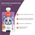 Wanpy Cat Лакомство для кошек Мясной мусс из утки и тыквы, 90 гр MZB871521 - фото 14243