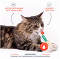 Wanpy Cat Лакомство для кошек «нежное пюре» из ягненка со свеклой и куркумой, 70 гр MZB874119 - фото 14244