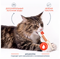 Wanpy Cat Лакомство для кошек «нежное пюре» из лосося с семенами чиа и водорослями, 70 гр MZB874096 - фото 14249