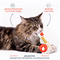 Wanpy Cat Лакомство для кошек «нежное пюре» из курицы с тыквой и кейлом, 70 гр MZB874089 - фото 14254