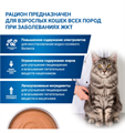Диетический корм Monge VetSolution Cat Gastrointestinal гастро интестинал для кошек при заболеваниях ЖКТ, 100 гр MZB014618 - фото 14356