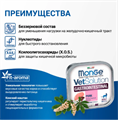 Диетический корм Monge VetSolution Cat Gastrointestinal гастро интестинал для кошек при заболеваниях ЖКТ, 100 гр MZB014618 - фото 14357