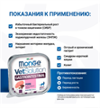 Диетический корм Monge VetSolution Cat Gastrointestinal гастро интестинал для кошек при заболеваниях ЖКТ, 100 гр MZB014618 - фото 14358