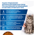 Monge VetSolution Cat Urinary Struvite Уринари Струвит при заболеваниях мочеполовой системы и струвитном течении МКБ, 400 гр MZB081573 - фото 14379