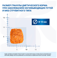 Monge VetSolution Cat Urinary Struvite Уринари Струвит при заболеваниях мочеполовой системы и струвитном течении МКБ, 1.5 кг MZB081580 - фото 14383