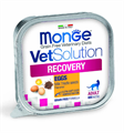 Диетический корм Monge VetSolution Cat Recovery Рекавери для кошек при восстановлении питания в период выздоровления, 100 гр MZB014656 - фото 14430