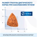 Диетический корм Monge VetSolution Dog Hepatic Гепатик для собак при заболеваниях печени, 12 кг MZB081184 - фото 14452