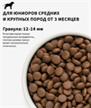 GRANDORF Fresh DOG JUNIOR Lamb&Sweet Potato Свежее мясо ягненка с бататом для юниоров, 1 кг MZB852710 - фото 14761