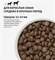 GRANDORF DOG 4 Meat PROBIOTIC MED&MAXI 4 мяса с пробиотиками для собак средних и крупных пород, 3 кг. MZB851126 - фото 14813