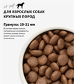 GRANDORF Fresh Dog Adult MAXI Salmon&Sweet Potato Свежее филе лосося с бататом для собак крупных пород, 10 кг MZB853298 - фото 14845