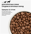 GRANDORF Fresh Dog Adult MED&MAXI Salmon&Sweet Potato Свежее филе лосося с бататом для собак средних и крупных пород, 10 кг MZB852932 - фото 14865