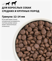 GRANDORF Fresh Dog Adult MED&MAXI Duck&Sweet Potato Свежее мясо утки с бататом для собак средних и крупных пород, 1 кг MZB852949 - фото 14873