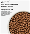 GRANDORF Fresh Dog Adult MINI Salmon&Sweet Potato Свежее филе лосося с бататом для собак мелких пород, 3 кг MZB852826 - фото 14885