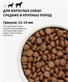 GRANDORF Fresh Dog Adult MED&MAXI Salmon&Sweet Potato Свежее филе лосося с бататом для собак средних и крупных пород, 3 кг MZB852925 - фото 14937