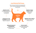 GRANDORF VETERINARY DIET TURKEY Полнорационный диетический сухой корм для кошек с индейкой при острых расстройствах пищеварения, 400 гр MZB853144 - фото 15188
