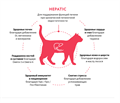 GRANDORF VETERINARY DIET TURKEY HEPATIC полнорационный диетический корм для кошек для поддержания функции печени при хронической печеночной недостаточности, 400 гр MZB853267 - фото 15196