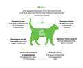 GRANDORF VETERINARY DIET TURKEY RENAL полнорационный диетический сухой корм для кошек с индейкой для поддержания функции почек при временной или хронической почечной недостаточности, 2 кг MZB853199 - фото 15211