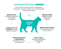 GRANDORF VETERINARY DIET TURKEY GASTROINTESTINAL MODERATE CALORIE полнорационный диетический сухой корм с индейкой для кошек при гиперлипидемии и острых расстройствах пищеварения, 400 гр MZB853168 - фото 15220