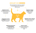 GRANDORF VETERINARY DIET TURKEY URINARY S/O MODERATE CALORIE полнорационный диетический сухой корм для кошек с лишним весом для растворения струвитных камней и снижения риска их повторного образования, индейка, 400 гр MZB853229 - фото 15234