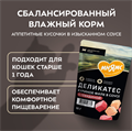 Влажный корм Мнямс Деликатес Куриное филе с говядиной в соусе для кошек, 50 гр MZB548764 - фото 15841