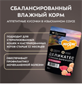 Влажный корм Мнямс Деликатес Куриное филе с тунцом в соусе для стерилизованных кошек, 50 гр MZB548733 - фото 15844