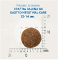 CRAFTIA GALENA DOG GASTROINTESTINAL CARE 2 kg, Гастроинтестинал для собак при заболеваниях ЖКТ, 2 кг MZB428174 - фото 17724