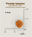 Сухой корм CRAFTIA NATURA для взрослых собак миниатюрных и мелких пород из утки с фазаном, 2 кг MZB426316 - фото 17754