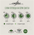 Сухой корм CRAFTIA HARMONA для котят из курицы и рыбы, 1.4 кг MZB421595 - фото 17861