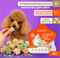 Лакомство Ranova для собак сублимированное Звёздочка для зубов микс вкусов: с курицей и морскими водорослями или с курицей и хурмой, 6 гр MZB255149 - фото 17972