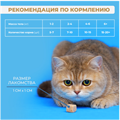 Лакомство Ranova для кошек сублимированное Лосось, 50 гр MZB253565 - фото 17984