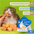 Лакомство Ranova для кошек сублимированное Звёздочка для зубов с курицей и морковью, 6 гр MZB255088 - фото 17996